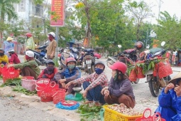 Thị trường - Tiêu dùng - Người dân Quảng Bình phấn khởi kiếm thêm thu nhập nhờ loại nấm trời ban