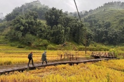 Du lịch - Lào Cai mở tour du lịch kết hợp thiện nguyện sau bão Yagi