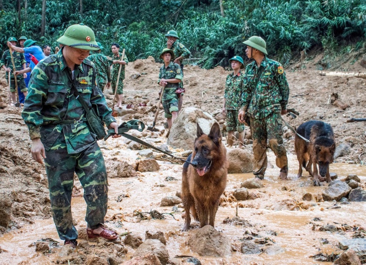  Trước khi làm huấn luyện viên con Vát, Thiếu tá Nguyễn Văn Hưởng điều khiển con Pốp Ka, là chú chó rất nổi tiếng và đã qua đời cách đây 3 tháng. Trong ảnh: Chú chó Pốp Ka đang tham gia tìm kiếm 13 quân nhân và cán bộ mất tích tại Trạm kiểm lâm 67 khi cứu nạn Thủy điện Rào Trăng (Thừa Thiên Huế) năm 2020. Ảnh: Văn Chương 