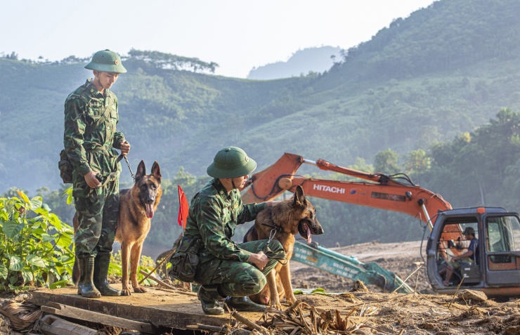 Nhiều lính trẻ được tăng cường tới hiện trường để quen với những chuyến đi rất hiểm nguy mà các huấn luyện viên chó nghiệp vụ đều phải từng trải. Ảnh: Văn Chương