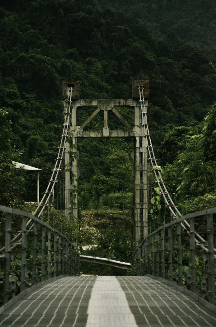 Những cây cầu giản dị.