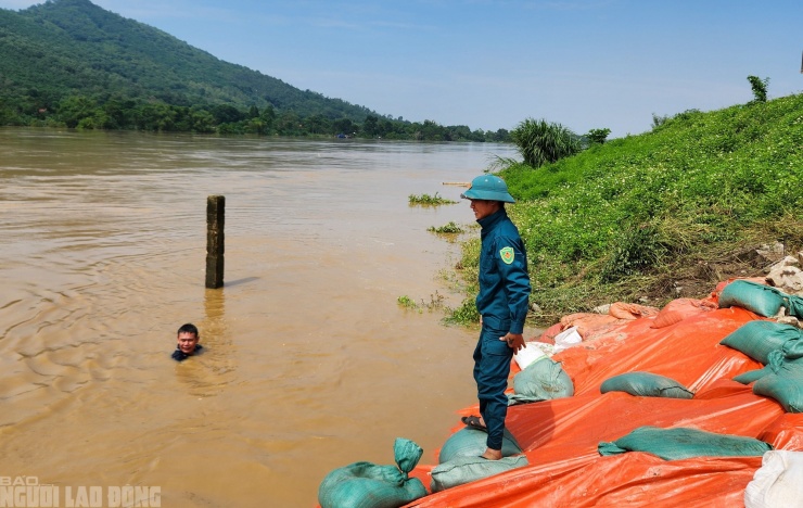 Quân đội xua quân khắc phục sự cố đê sông Mã, bảo vệ an toàn hàng nghìn dân