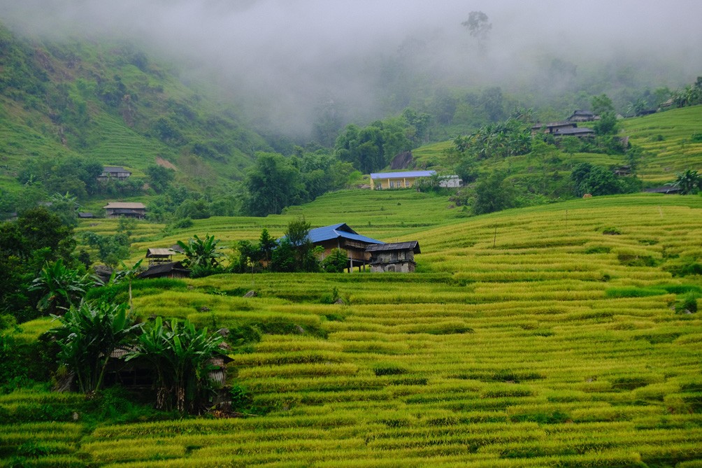 Vào tháng 9, những thửa ruộng bậc thang, lúa bắt đầu ngả vàng, tạo nên một bức tranh thiên nhiên rực rỡ.