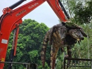 Thế giới - Thái Lan: Sợ cá sấu xổng chuồng khi lũ lụt, chủ trại &quot;xử lý&quot; cả đàn