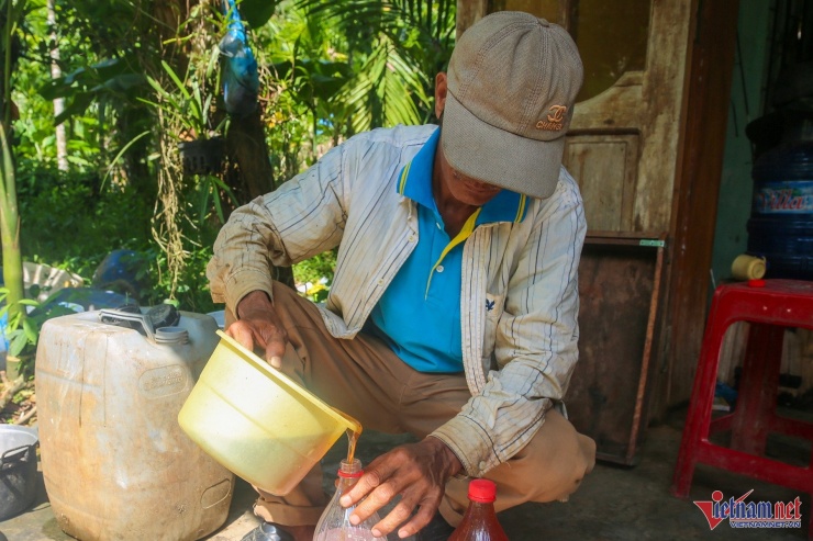 Mật của đàn ong nuôi trong rừng keo thường có màu vàng nhạt và vị ngọt dịu