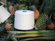 Thị trường - Tiêu dùng - Lần đầu sản xuất vải từ lá quả dứa quy mô lớn