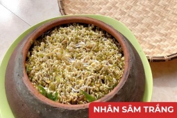 Tin tức sức khỏe - Thực phẩm dễ kiếm ngoài chợ được ví như “nhân sâm trắng” - cực bổ cho người mắc tiểu đêm, tiểu nhiều