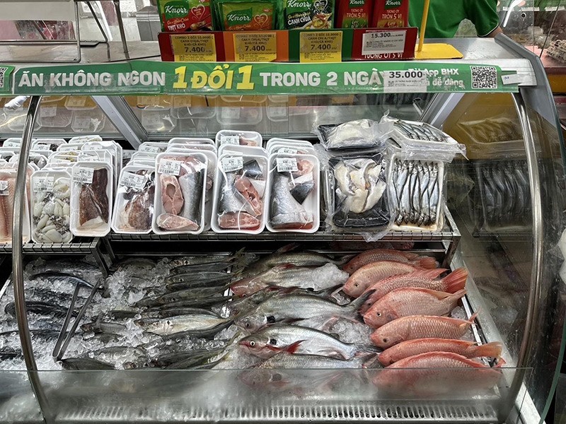 Tại Bách hóa Xanh, cá basa được trưng bày trong các quầy hàng chuyên biệt, đảm bảo vệ sinh và luôn được giữ lạnh, bày bán trong ngày để có chất lượng tốt nhất