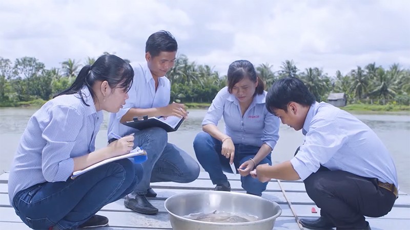 Cá basa luôn được kiểm tra kỹ lưỡng trước khi rời khỏi vùng nuôi để đảm bảo đáp ứng được những tiêu chuẩn khắt khe nhất của Bách hóa Xanh