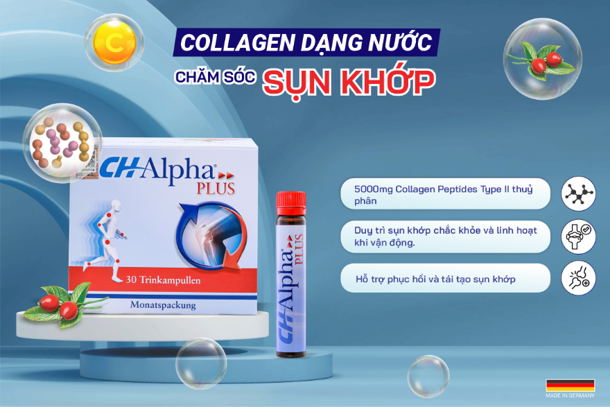 CH-Alpha PLUS - Sản phẩm chứa Collagen Peptide Type II chuyên biệt cho sụn khớp. Nguồn: CH-Alpha PLUS Việt Nam