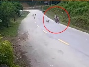 Xe máy - Xe đạp - Clip: Xe máy bị chó đuổi lao thẳng xuống rãnh thoát nước