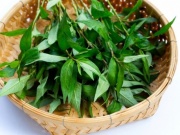 Sức khỏe đời sống - Sự thật về ảnh hưởng của rau răm đối với sinh lý nam giới