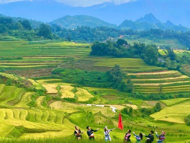 Lung linh mùa vàng trên rẻo cao Lai Châu