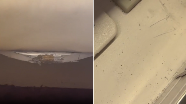 Phần da ghế rách hỏng và dính nhiều tóc cũng như bụi bẩn. Ảnh chụp màn hình