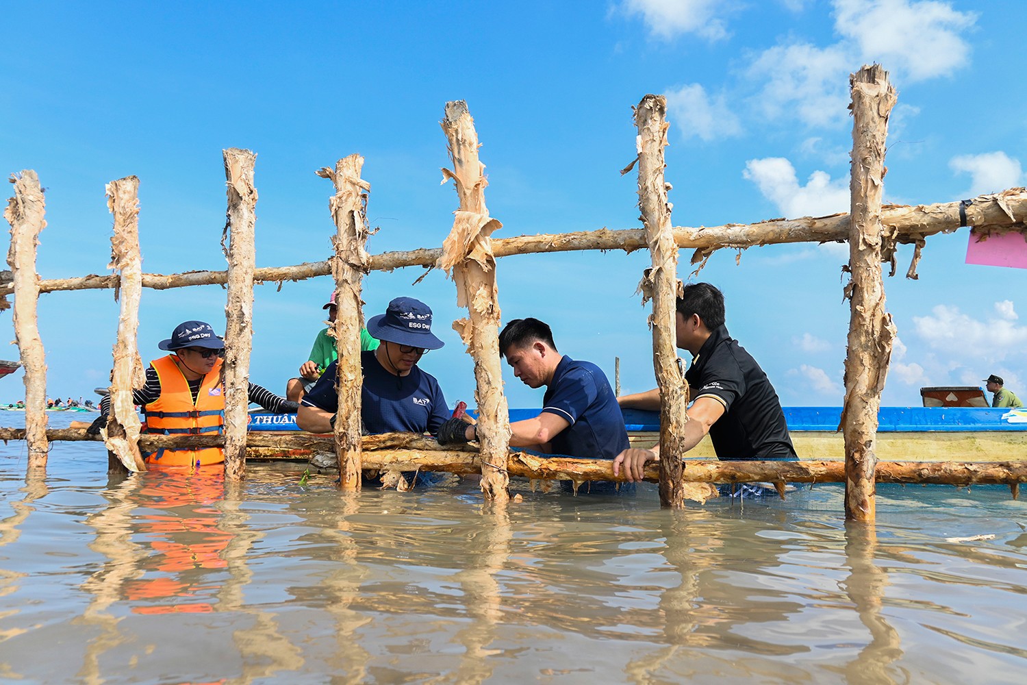 Các nhân viên, tình nguyện viên từ Gaia và các cán bộ thuộc Ban quản lý Vườn Quốc gia Mũi Cà Mau cùng nhau trực tiếp dựng hàng rào và giăng lưới để khoanh nuôi các cây mắm trắng.