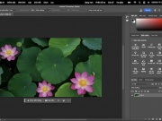 Không chỉ giao diện, Adobe Việt hóa luôn cả bài học trong Photoshop
