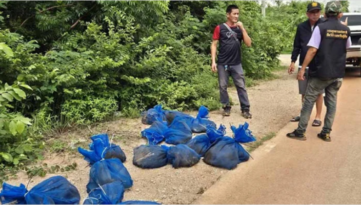 Phát hiện 25 chiếc túi lạ trong rừng, mở ra thấy cảnh tượng "nổi da gà" - 1
