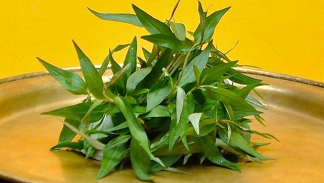 Nên chọn mua rau răm tươi, lá nhỏ, mùi thơm đặc trưng, không bị héo úa và không có mùi lạ.