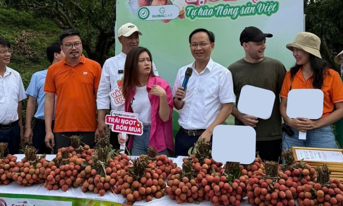 Ông Phạm Văn Thịnh (thứ 3 phải sang) tham gia phiên livestream hôm 29/6. Ảnh: Nhân vật cung cấp