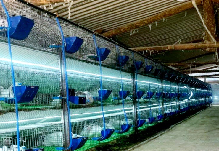 22 tuổi, kiếm trăm triệu/năm nhờ biến sinh vật quen thuộc thành “máy in tiền” - 3