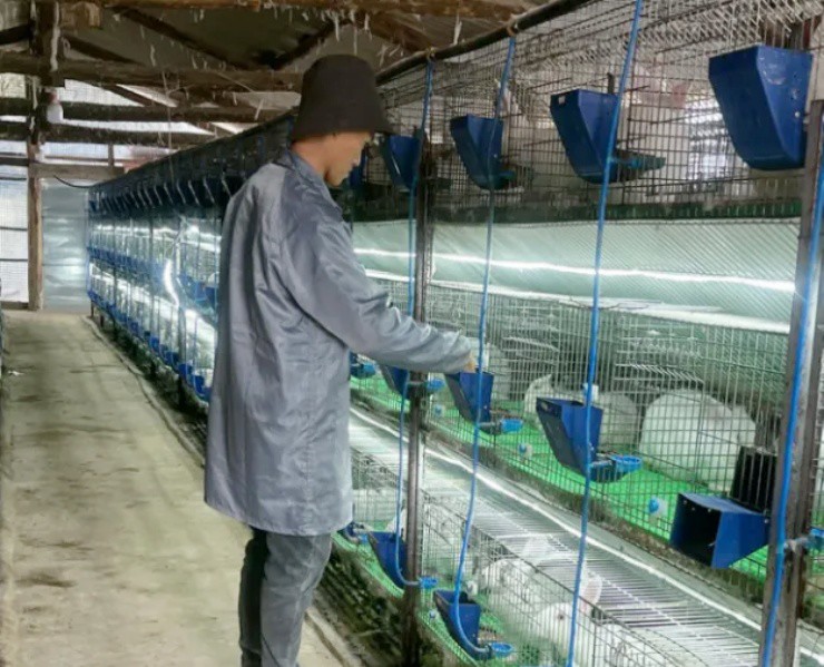 22 tuổi, kiếm trăm triệu/năm nhờ biến sinh vật quen thuộc thành “máy in tiền” - 1