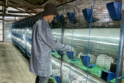 22 tuổi, kiếm trăm triệu/năm nhờ biến sinh vật quen thuộc thành  máy in tiền 