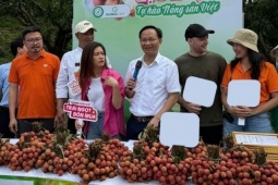 Phó chủ tịch Bắc Ninh livestream bán 54 tấn vải trong 6 giờ