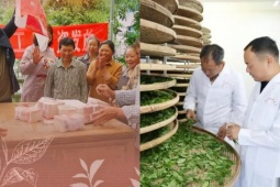 Biến lá cây dại thành  vàng , cả làng cùng  phất 