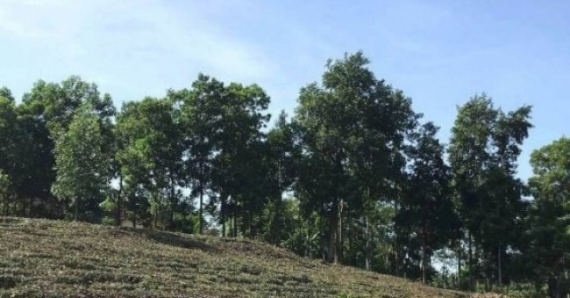 Chuyển 210m2 đất thành đất ở, dân đành bỏ cuộc ...