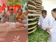 Biến lá cây dại thành “vàng”, cả làng cùng “phất”