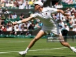 Trực tiếp tennis Sinner - Nardi: Set 1 khó lường (Wimbledon)