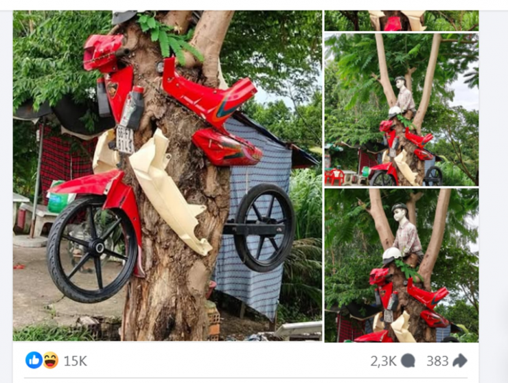 Hình ảnh mô hình xe máy xuyên qua thân cây thu hút cộng đồng mạng