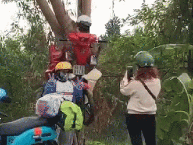 Mô hình xe máy ‘xuyên cây' ở An Giang khiến triệu người tò mò, tranh cãi