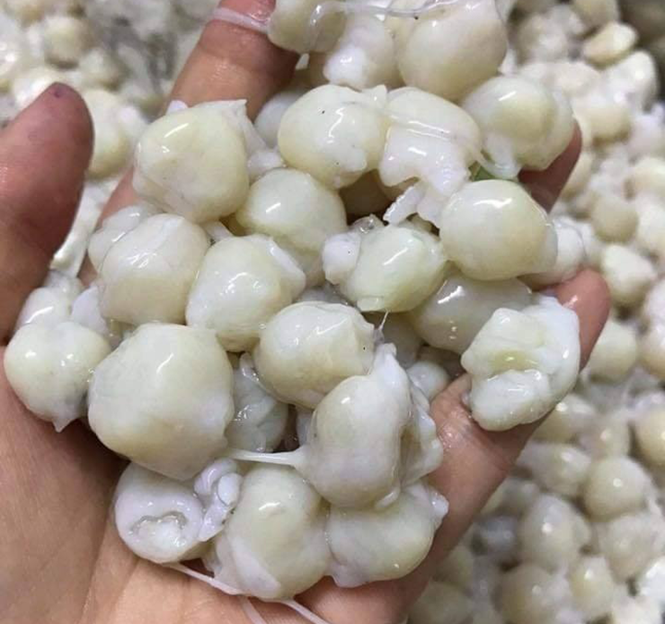 Trước đây, răng mực bị xem là phế phẩm và thường bị vứt bỏ. Nhiều người cho rằng phần này không ăn được hoặc không có giá trị dinh dưỡng.

