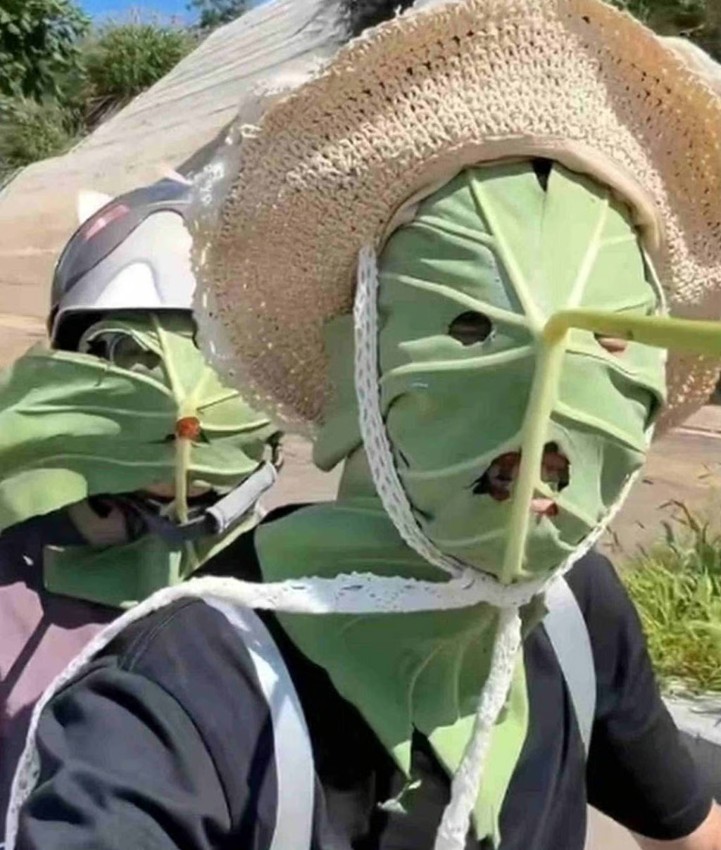 Giới trẻ Trung Quốc "chế" khẩu trang bằng lá sen gây sốt - 1