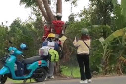 Mô hình xe máy  xuyên cây '  ở An Giang khiến triệu người tò mò, tranh cãi