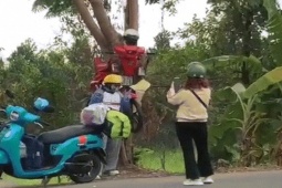 Bạn trẻ - Cuộc sống - Mô hình xe máy ‘xuyên cây' ở An Giang khiến triệu người tò mò, tranh cãi