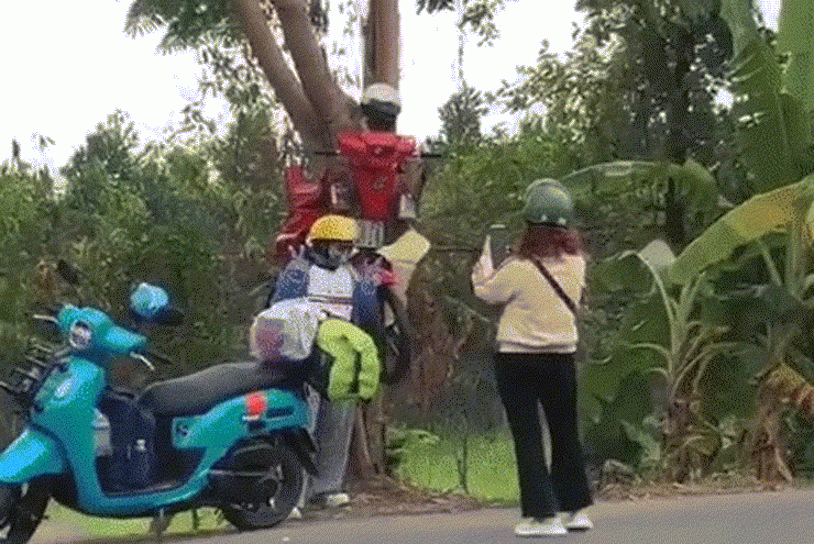 Mô hình xe máy ‘xuyên cây&#39; ở An Giang khiến triệu người tò mò, tranh cãi - 3