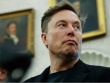Elon Musk và cuộc chiến chính trị đang nhấn chìm Tesla