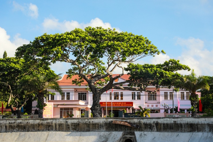 Lạc giữa miền xanh Côn Đảo - 2
