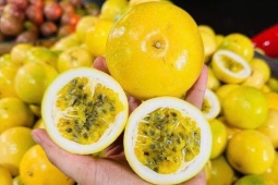 Bất ngờ loại chanh  lạ  ngọt thơm mùi ổi chín đổ bộ chợ Việt, giá chỉ từ 25 nghìn đồng/kg