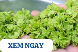 Tin tức sức khỏe - Mùa mưa bão đến rồi, xem ngay 5 loại rau củ được người xưa ví là “thần dược” cho xương khớp
