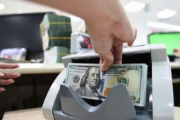 Giá USD tăng kịch trần