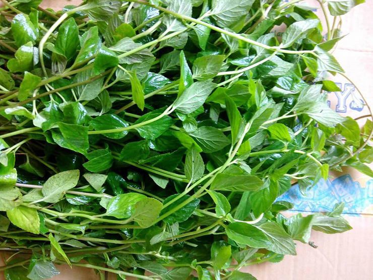 Vị rau giòn, hơi chua thanh, rất thích hợp để giải nhiệt trong những ngày oi ả.
