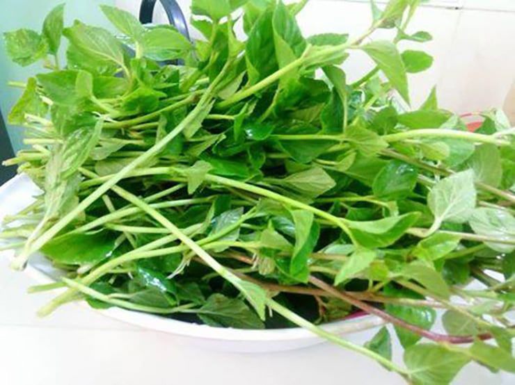 Hiện nay, rau lỗ bình thành đặc sản ở thành phố, được tiêu thụ trong các nhà hàng, quán ăn với giá lên tới 120.000 đồng/kg.
