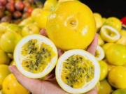Thị trường - Tiêu dùng - Bất ngờ loại chanh “lạ” ngọt thơm mùi ổi chín đổ bộ chợ Việt, giá chỉ từ 25 nghìn đồng/kg