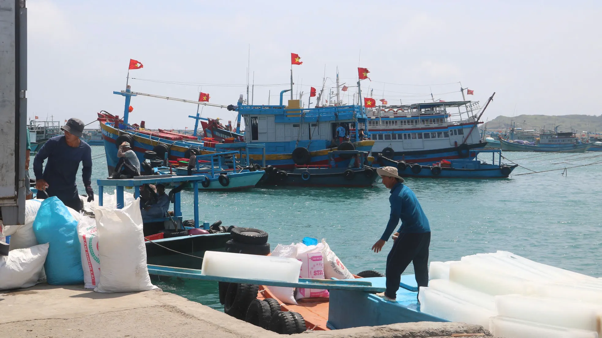 Tàu nối tàu, cá nối cá: Ngư dân Lâm Đồng phấn khởi vì &#39;trúng to&#39; - 1