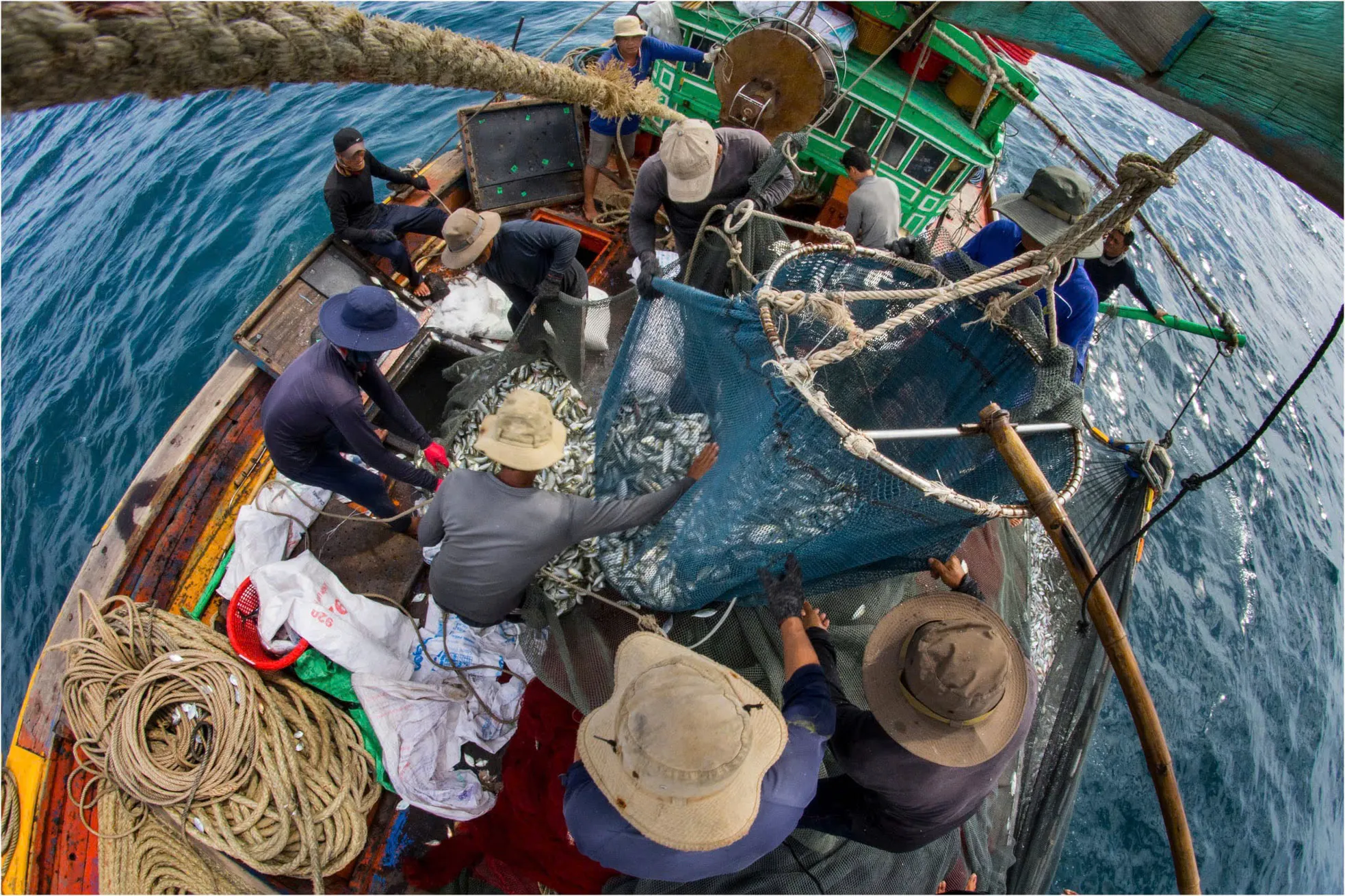 Tàu nối tàu, cá nối cá: Ngư dân Lâm Đồng phấn khởi vì &#39;trúng to&#39; - 6