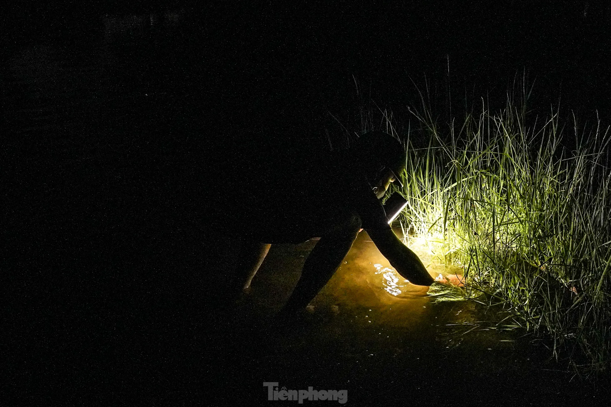 Công viên thành sông sau mưa, người Hà Nội bì bõm bắt cá giữa đêm - 9