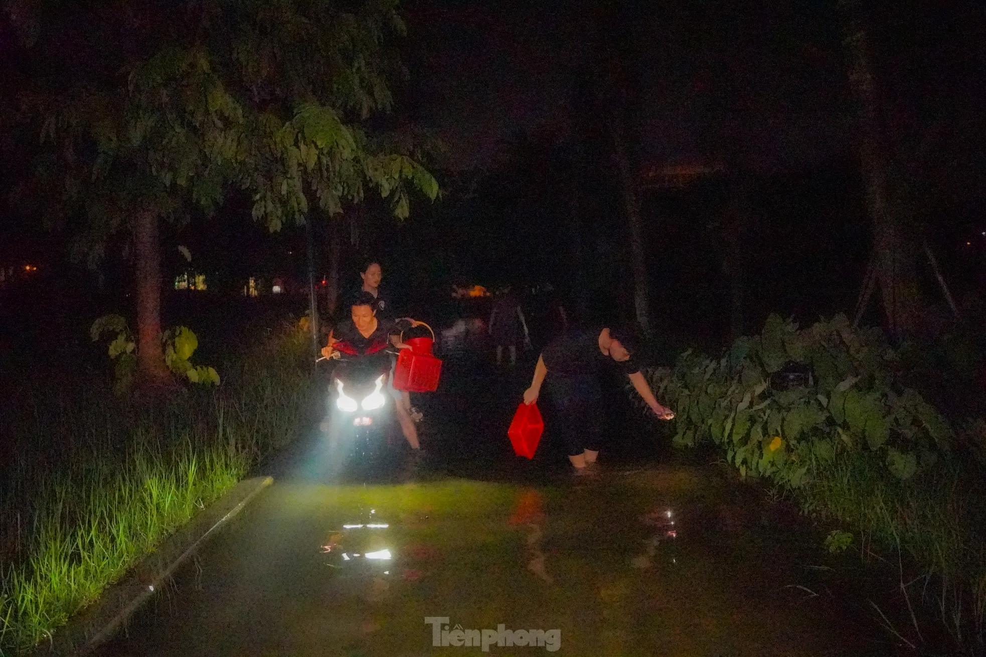 Thậm chí, có người còn chạy xe máy quanh công viên lúc gần nửa đêm, dùng đèn pha soi xuống mặt nước để bắt cá, tạo nên khung cảnh vừa lạ lẫm vừa khó tin giữa lòng Thủ đô.